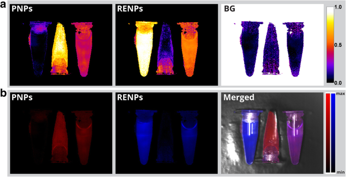 Advanced Hyperspectral Imaging for Multiplexed Detection of Short-Wave Infrared Nanoprobes in Biological Systems