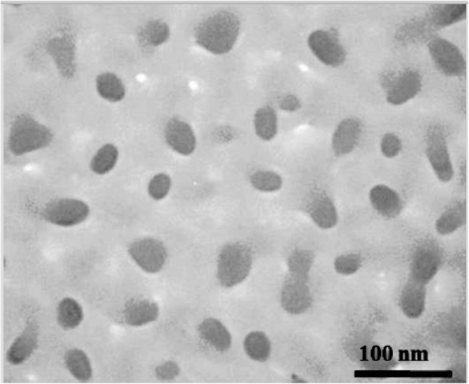 Resveratrol-Loaded Solid Lipid Nanoparticles Enhance Insulin Sensitivity by Modulating SNARE Protein Expression in Adipose and Muscle Tissues of Type 2 Diabetic Rats