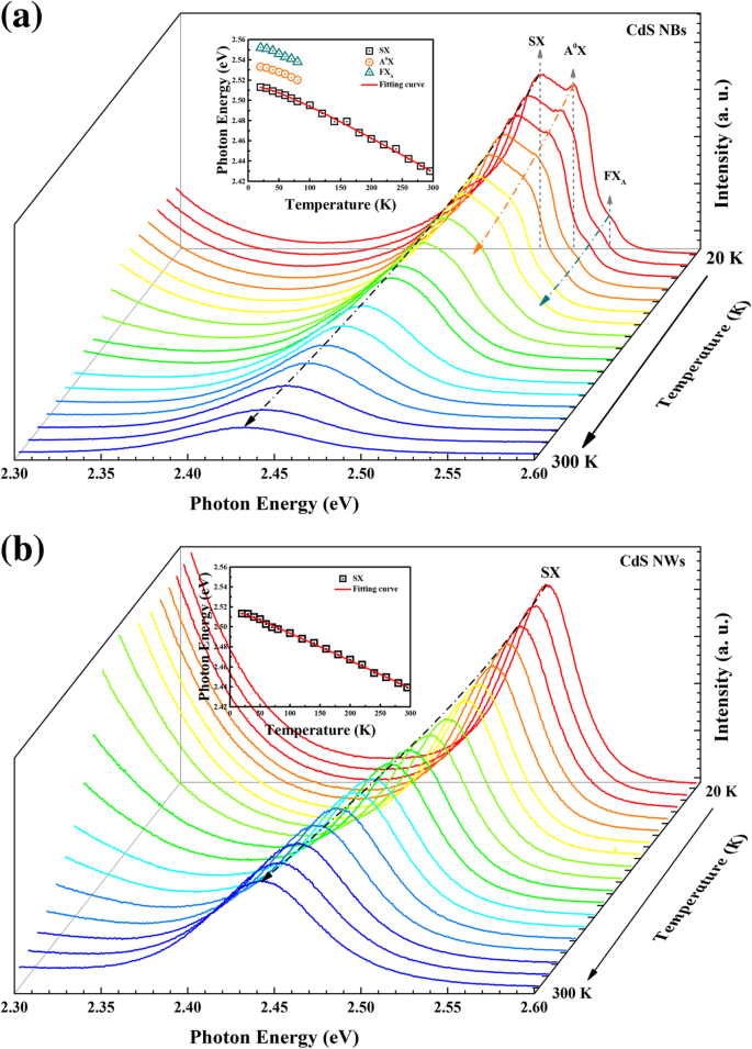 Unveiling Surface-Related Excitons and Lasing in CdS Nanostructures