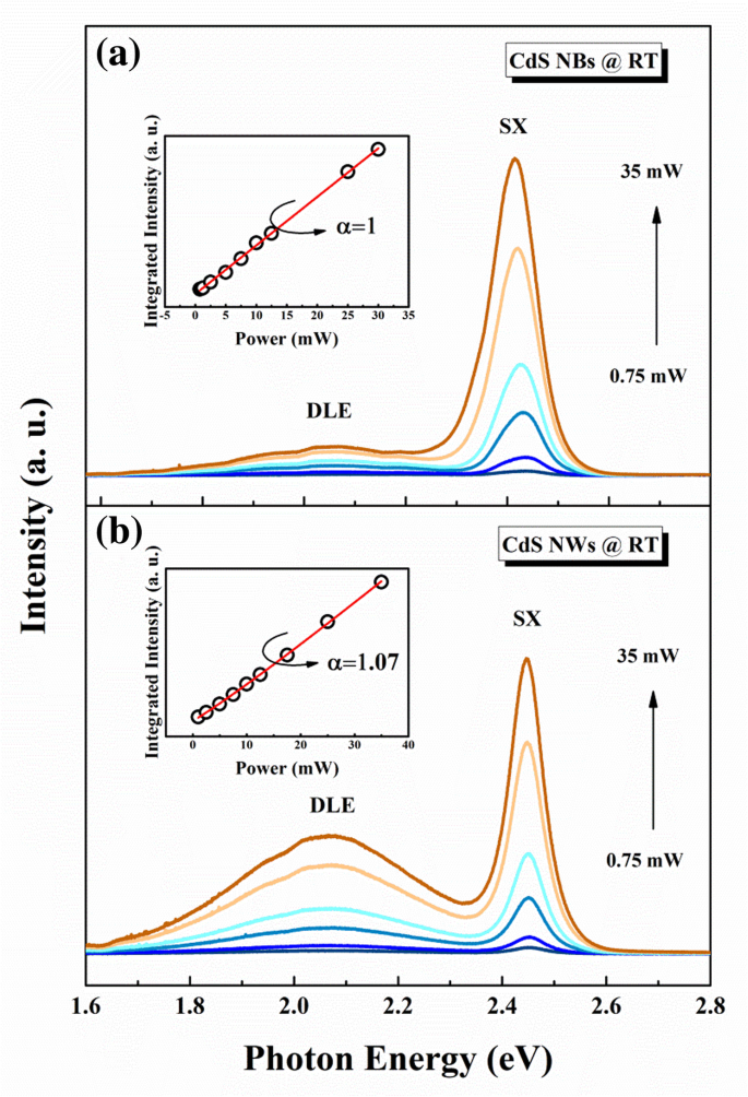 Unveiling Surface-Related Excitons and Lasing in CdS Nanostructures