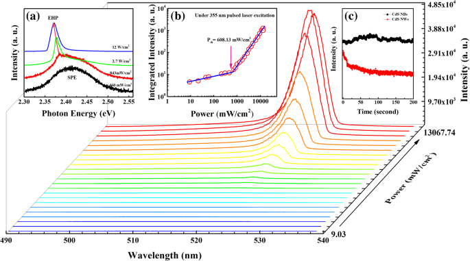 Unveiling Surface-Related Excitons and Lasing in CdS Nanostructures