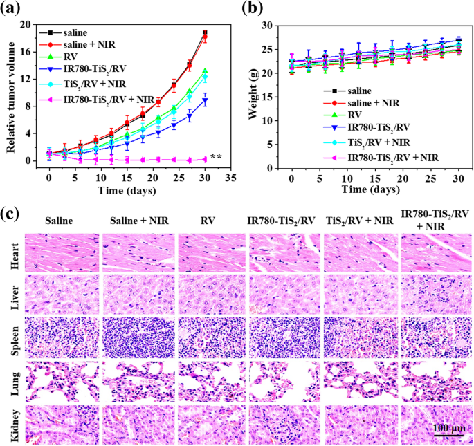 Mitochondria‑Targeted TiS2 Nanosheets Deliver Resveratrol for Photothermal‑Triggered Tumor Chemotherapy