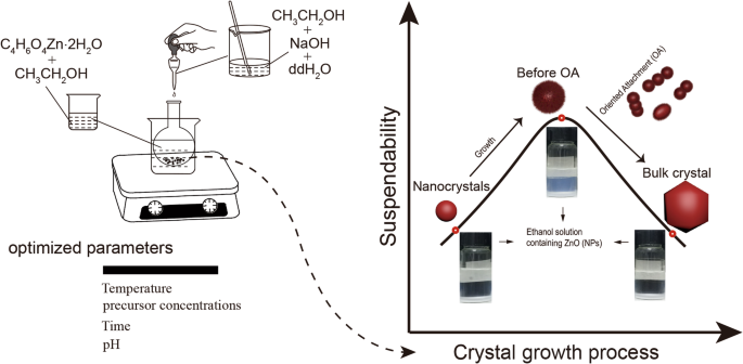 Synthesis of Highly Dispersible ZnO Nanoparticles via Oriented Attachment: A Comprehensive Study