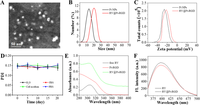 pH‑Triggered Ferritin Nanocarrier Enables Controlled Resveratrol Delivery for Targeted Tumor Chemotherapy