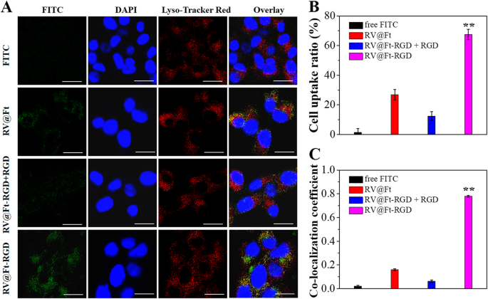 pH‑Triggered Ferritin Nanocarrier Enables Controlled Resveratrol Delivery for Targeted Tumor Chemotherapy