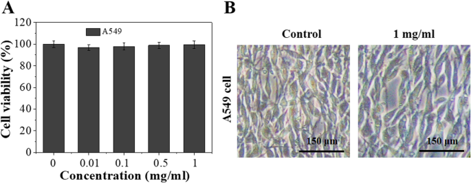 pH‑Triggered Ferritin Nanocarrier Enables Controlled Resveratrol Delivery for Targeted Tumor Chemotherapy