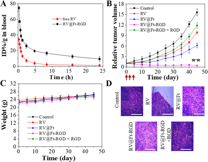 pH‑Triggered Ferritin Nanocarrier Enables Controlled Resveratrol Delivery for Targeted Tumor Chemotherapy