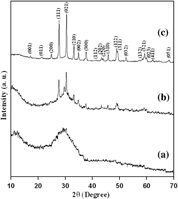 Optical Properties and Growth Mechanism of Macroporous La₃Ga₅.₅Nb₀.₅O₁₄ Ceramic Synthesized via Pechini Process