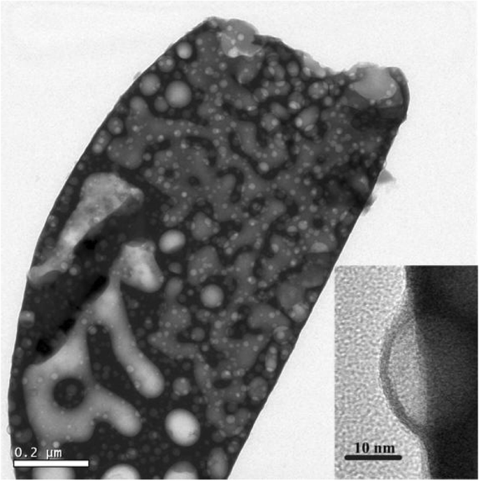 Optical Properties and Growth Mechanism of Macroporous La₃Ga₅.₅Nb₀.₅O₁₄ Ceramic Synthesized via Pechini Process