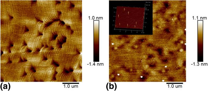 Uniform Indium Quantum Dots Formed via Two‑Step Cooling on InGaN Surfaces: A Novel MOCVD Approach