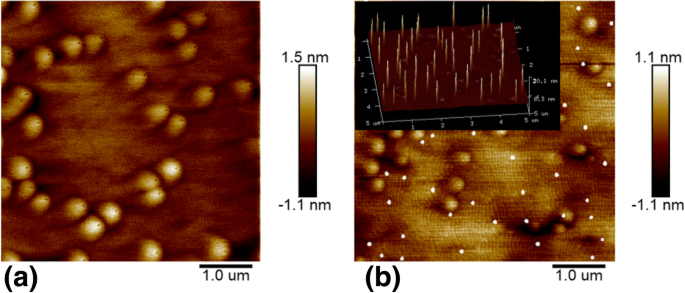 Uniform Indium Quantum Dots Formed via Two‑Step Cooling on InGaN Surfaces: A Novel MOCVD Approach