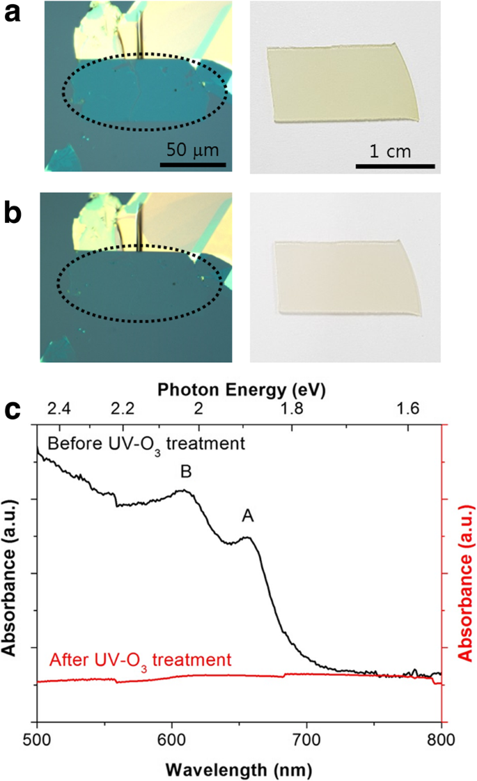 Ultraviolet‑Ozone Degradation of MoS₂ Monolayers: Polycrystalline CVD Films vs. Exfoliated Single‑Crystal Flakes