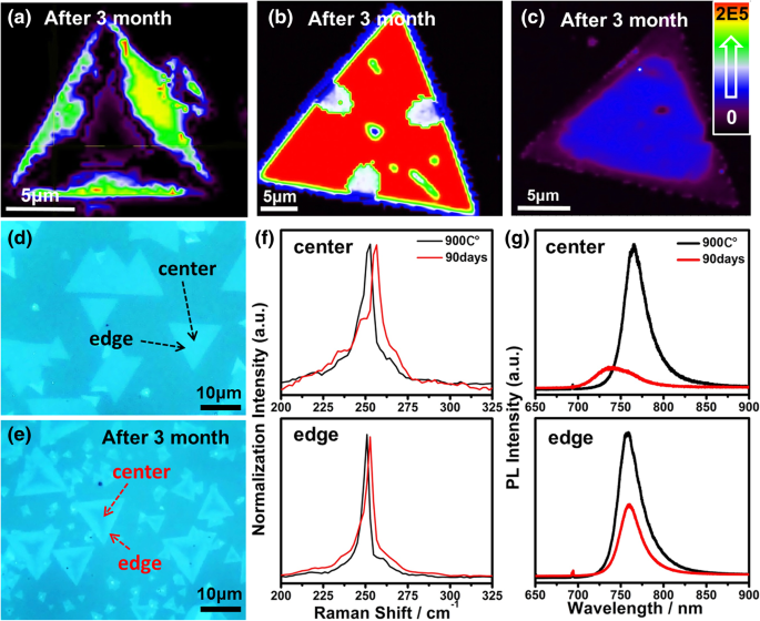Rapid Optical Mapping of Defect Formation in Monolayer WSe₂: Guiding Optimal CVD Growth
