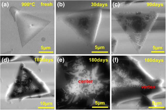 Rapid Optical Mapping of Defect Formation in Monolayer WSe₂: Guiding Optimal CVD Growth