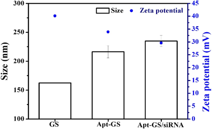 Redox‑Responsive Gelatin/Silica Nanogels Functionalized with AS1411 Aptamer for Targeted siRNA Delivery