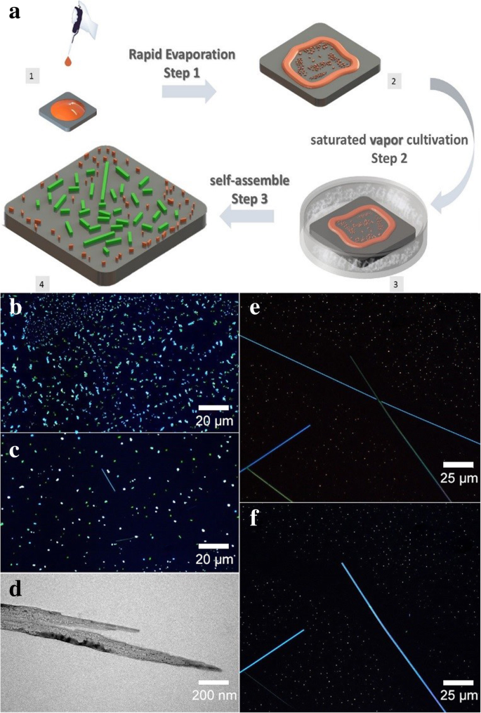 One‑Drop Self‑Assembly Produces Ultra‑Fine DAST Nanowires with Superior Second‑Order Nonlinear Optical Properties