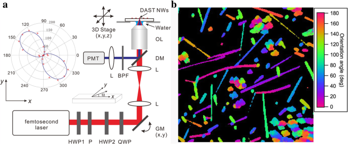 One‑Drop Self‑Assembly Produces Ultra‑Fine DAST Nanowires with Superior Second‑Order Nonlinear Optical Properties