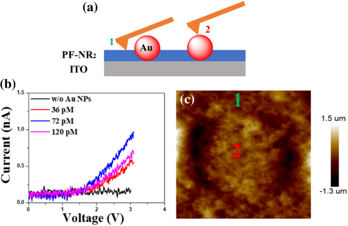 Gold Nanoparticles Boost Electron Transport in PF‑NR2 Cathode Interface for High‑Performance iPLEDs