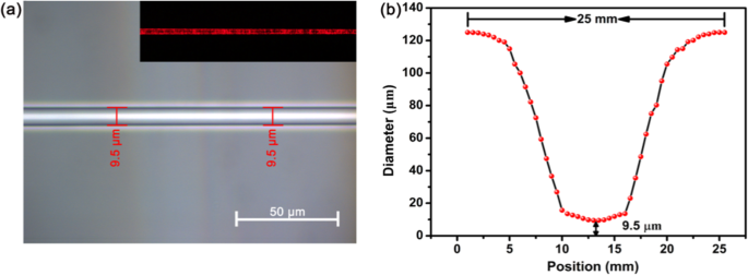 Precise All‑Optical Control of Light Transmission in WSe₂‑Coated Microfibers