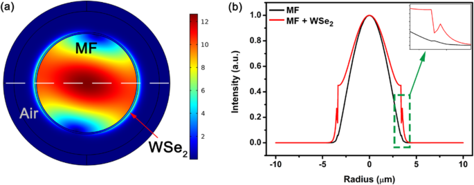 Precise All‑Optical Control of Light Transmission in WSe₂‑Coated Microfibers