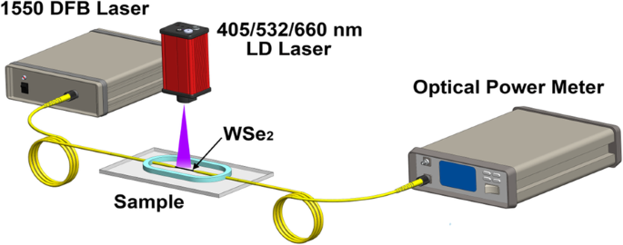 Precise All‑Optical Control of Light Transmission in WSe₂‑Coated Microfibers
