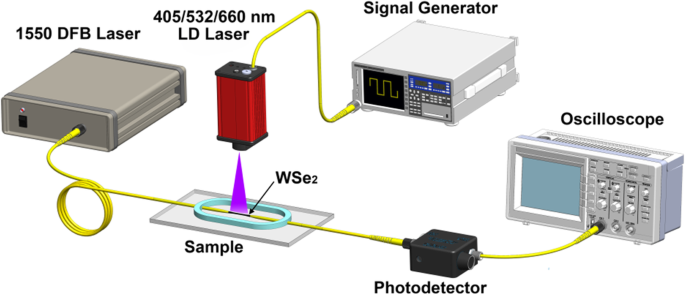 Precise All‑Optical Control of Light Transmission in WSe₂‑Coated Microfibers