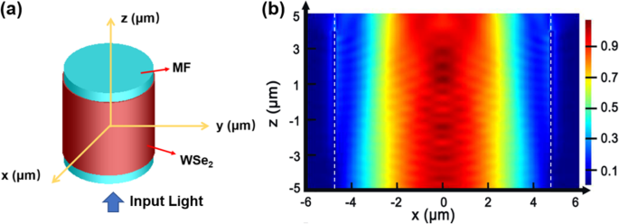 Precise All‑Optical Control of Light Transmission in WSe₂‑Coated Microfibers