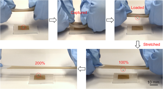 Stretchable, Fluorine‑Free Superhydrophobic Silicone Surfaces Fabricated by Femtosecond Laser Texturing
