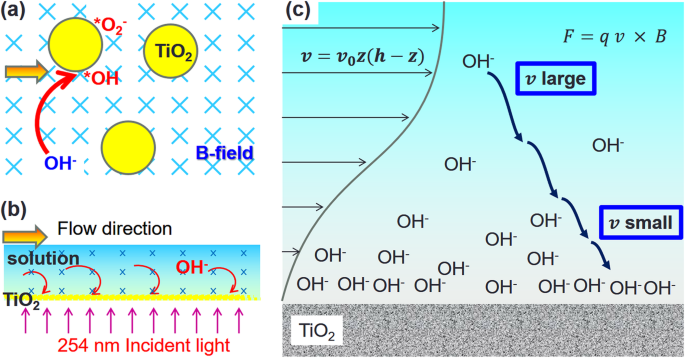 Optimizing TiO₂ Photocatalysis in Micro Optofluidic Chip Reactors with Magnetic Field Enhancement
