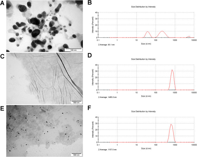 Reducing Cytotoxicity of Silver Nanoparticle Coatings with Graphene Oxide: Enhanced Antibacterial Performance and Biocompatibility of an Ag–GO Nanocomposite