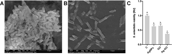 Reducing Cytotoxicity of Silver Nanoparticle Coatings with Graphene Oxide: Enhanced Antibacterial Performance and Biocompatibility of an Ag–GO Nanocomposite