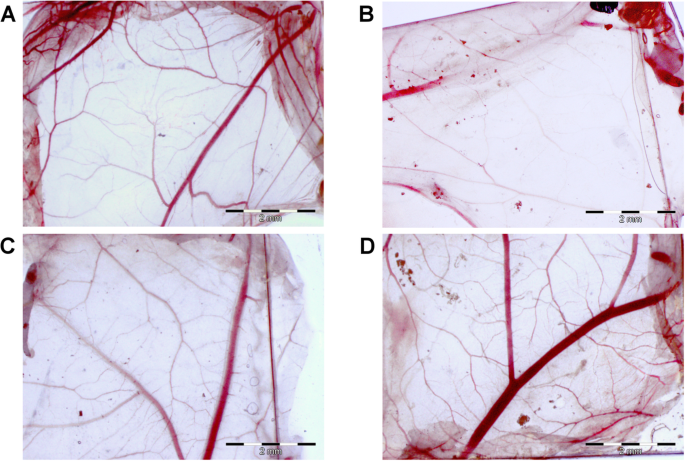 Reducing Cytotoxicity of Silver Nanoparticle Coatings with Graphene Oxide: Enhanced Antibacterial Performance and Biocompatibility of an Ag–GO Nanocomposite