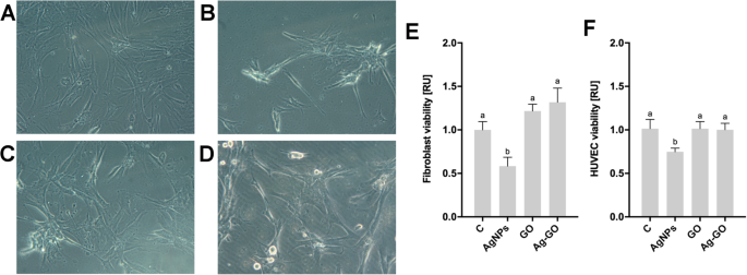 Reducing Cytotoxicity of Silver Nanoparticle Coatings with Graphene Oxide: Enhanced Antibacterial Performance and Biocompatibility of an Ag–GO Nanocomposite