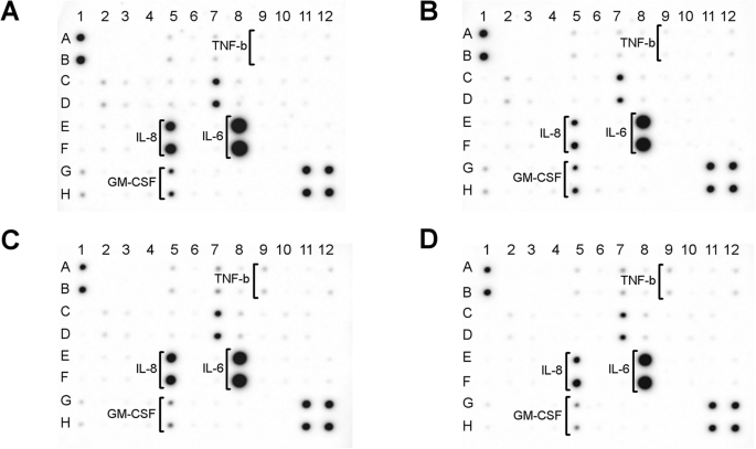 Reducing Cytotoxicity of Silver Nanoparticle Coatings with Graphene Oxide: Enhanced Antibacterial Performance and Biocompatibility of an Ag–GO Nanocomposite
