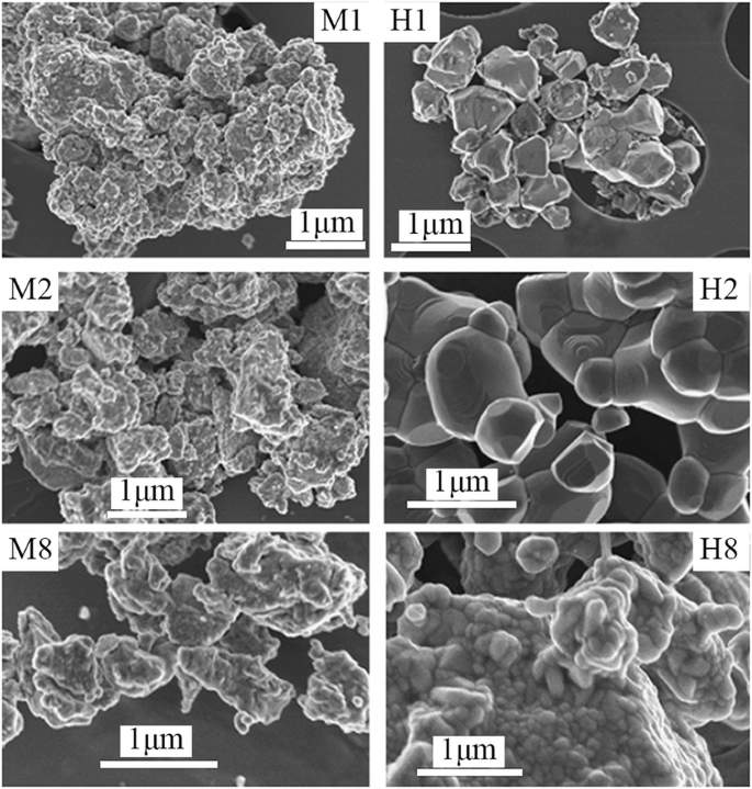 Advances in Rare Earth‑Doped Perovskite Manganite Oxide Nanostructures: Structural, Electronic, and Magnetic Insights