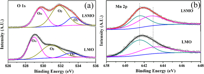 Advances in Rare Earth‑Doped Perovskite Manganite Oxide Nanostructures: Structural, Electronic, and Magnetic Insights