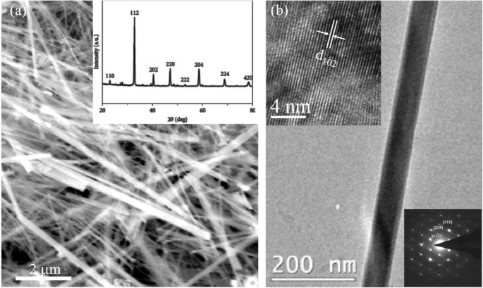 Advances in Rare Earth‑Doped Perovskite Manganite Oxide Nanostructures: Structural, Electronic, and Magnetic Insights