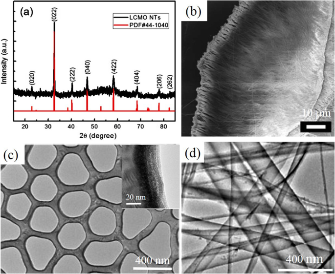 Advances in Rare Earth‑Doped Perovskite Manganite Oxide Nanostructures: Structural, Electronic, and Magnetic Insights