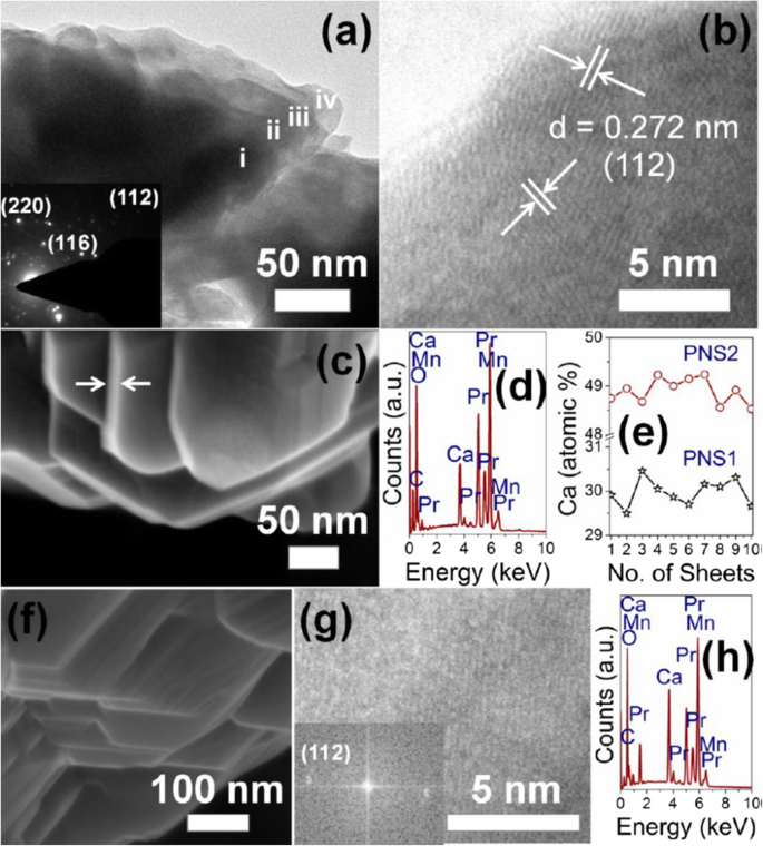 Advances in Rare Earth‑Doped Perovskite Manganite Oxide Nanostructures: Structural, Electronic, and Magnetic Insights