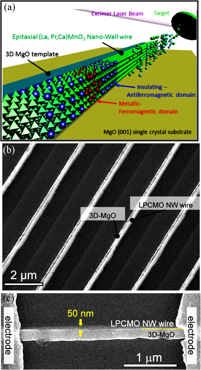 Advances in Rare Earth‑Doped Perovskite Manganite Oxide Nanostructures: Structural, Electronic, and Magnetic Insights