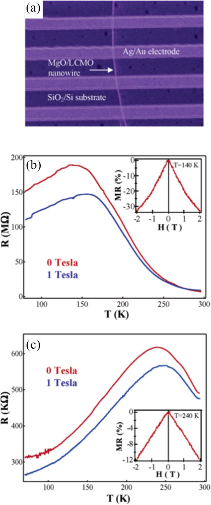 Advances in Rare Earth‑Doped Perovskite Manganite Oxide Nanostructures: Structural, Electronic, and Magnetic Insights