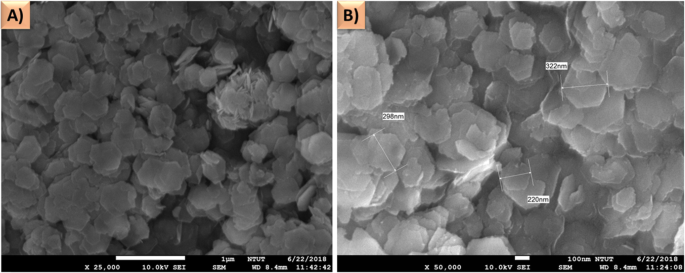 Rapid Electrochemical Sensor for Polychlorinated Biphenyls Using β‑Cyclodextrin/Tin Disulfide‑Modified Screen‑Printed Carbon Electrodes