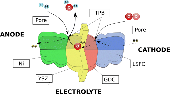 Anisotropic Evolution of Anode Microstructure During Long-Term Operation of Solid Oxide Fuel Cells