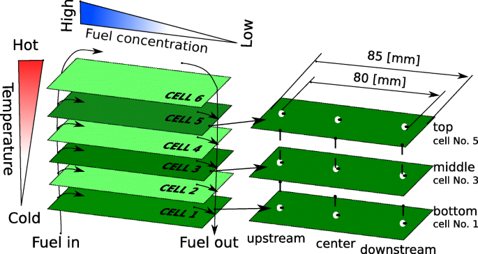 Anisotropic Evolution of Anode Microstructure During Long-Term Operation of Solid Oxide Fuel Cells
