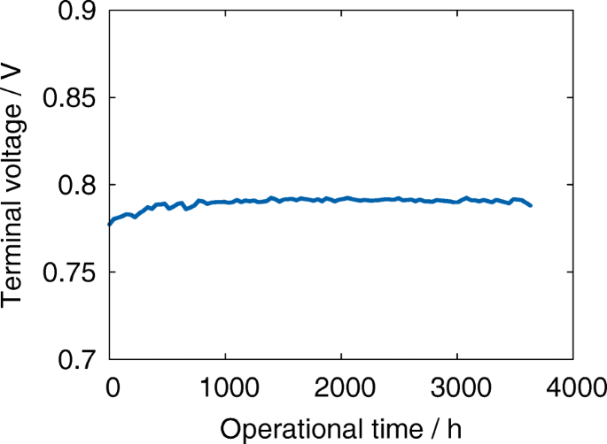 Anisotropic Evolution of Anode Microstructure During Long-Term Operation of Solid Oxide Fuel Cells