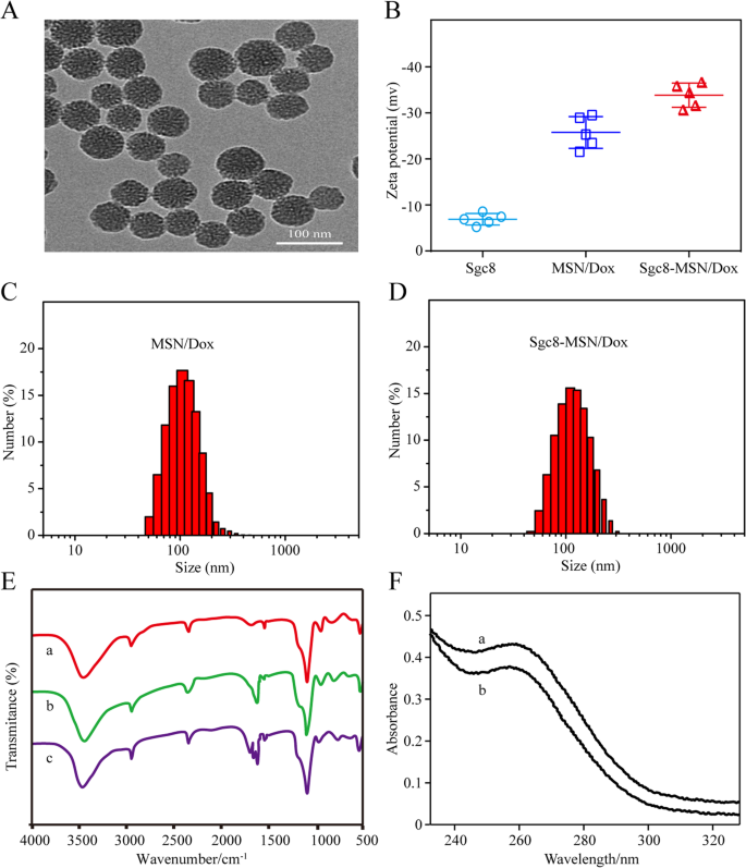 Targeted Chemotherapy: Aptamer-Functionalized Mesoporous Silica Nanoparticles Deliver Doxorubicin Directly to Leukemia Cells