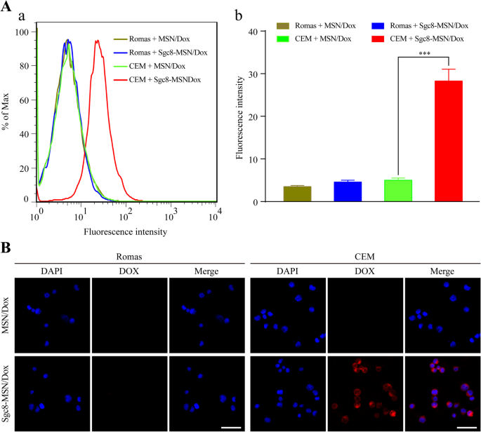 Targeted Chemotherapy: Aptamer-Functionalized Mesoporous Silica Nanoparticles Deliver Doxorubicin Directly to Leukemia Cells