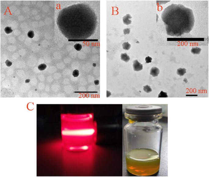 Biotin‑Functionalized Redox‑Sensitive Chitosan Nanoparticles Coated with Phycocyanin for Targeted Curcumin Delivery