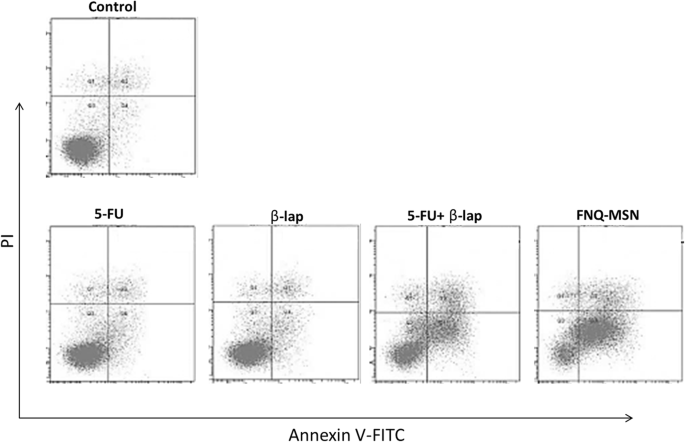 Mesoporous Silica Nanoparticles Co-Deliver NQO1 Inhibitor and 5‑Fluorouracil, Enhancing Antitumor Activity in Head and Neck Squamous Cell Carcinoma