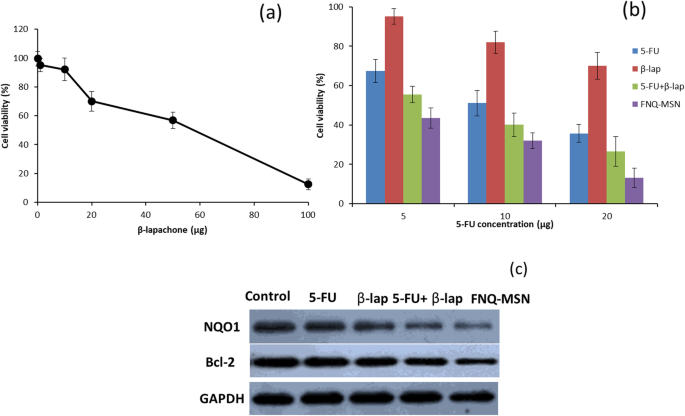 Mesoporous Silica Nanoparticles Co-Deliver NQO1 Inhibitor and 5‑Fluorouracil, Enhancing Antitumor Activity in Head and Neck Squamous Cell Carcinoma